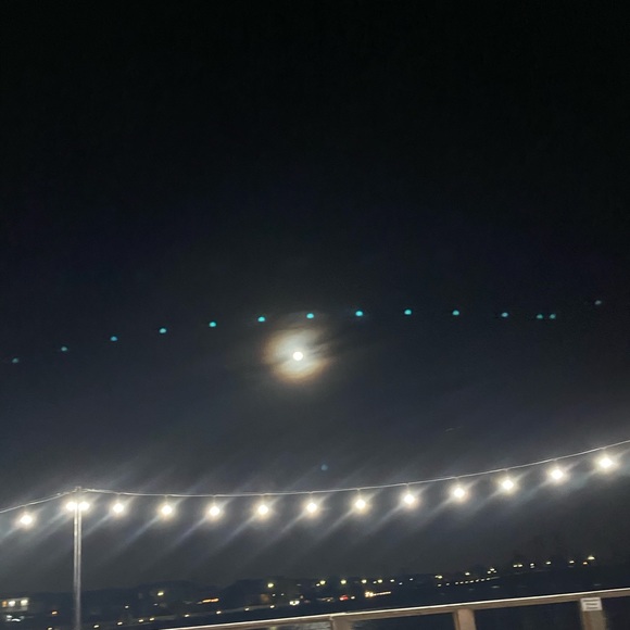 Meet your Posher, Yasmin - Picture 1 of 1